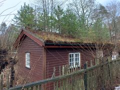 Om hytta ser slik ut, bør kjøper forstå at taket kan være utett. Likevel anbefaler Audun Bringsvor i Norsk Hyttelag at du beskriver tilstanden nøye før du legger hytta ut for salg.