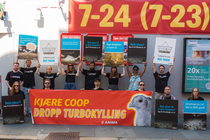 Frivillige fra Anima som deltar i en protest mot Coop sitt ukritiske salg av turbokylling.