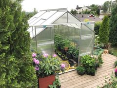 Et ryddig, rent og temperert drivhus med god utlufting, vil gjøre det lettere å lykkes med plantene. (FOTO: Grønt Fokus)