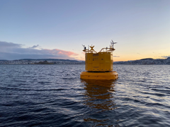 En av NTNU og SINTEF sine to forskningsbøyer i Trondheimsfjorden som samler inn data om forholdene i og rundt fjorden.