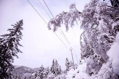 Feilretting av 22 kV linje ved Røyknes i Vennesla kommune i Vest-Agder.