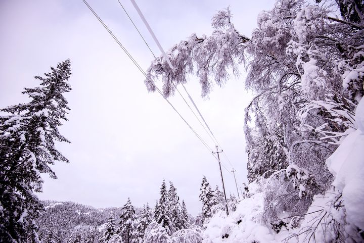 Feilretting av 22 kV linje ved Røyknes i Vennesla kommune i Vest-Agder.