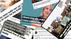 Medietilsynet, Faktisk.no og Landslaget for lokalaviser (LLA) går sammen om en kampanje for å øke folks bevissthet rundt falske nyheter og desinformasjon i forkant av høstens valg. Collage Medietilsynet