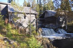 Hedmark - Fiskvikrokkdammen - Helena Nynäs - NVE