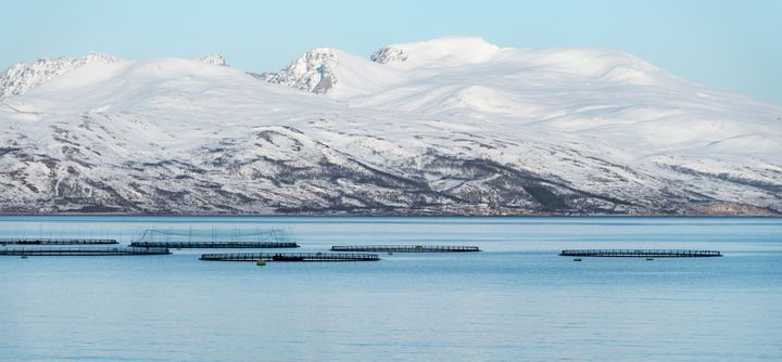 Oppdrettsanlegg utenfor Hansnes i Troms. Foto: Ludovic Charlet / Unsplash