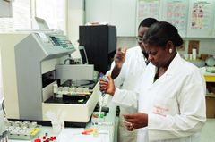 Assana Ouattara-Sangare er et forbilde for mange kvinner i sitt land. Her på jobb som leder for en bedrift som analyserer medisinske prøver og driver et større apotek i Elfenbenskysten. Foto: ILO/Crozet M.