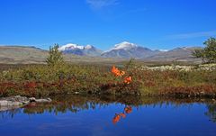 Rondane. Foto: Egil Skredemellom