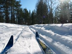 Følg friluftslivets koronavettregler enten du skal på ski eller drive annet friluftsliv i nærområdet ditt i påska. Foto: Miljødirektoratet.