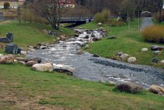 Åpning av bekker er et godt klimatilpasningstiltak. Ilabekken i Trondheim ble åpnet i 2008. Foto: SINTEF