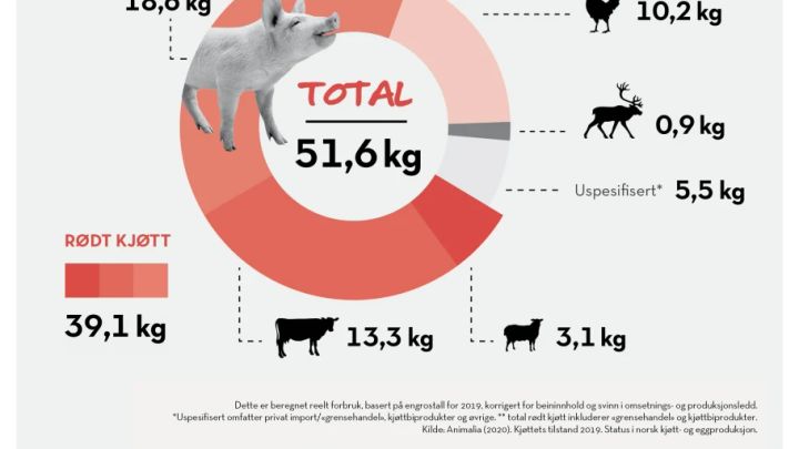 Forbruk av kjøtt i Norge fordelt på dyreslag.