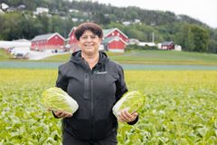 Grønnsaksprodusent Ragnhild Nærstad i Lier, en av de største produsentene på kinakål.