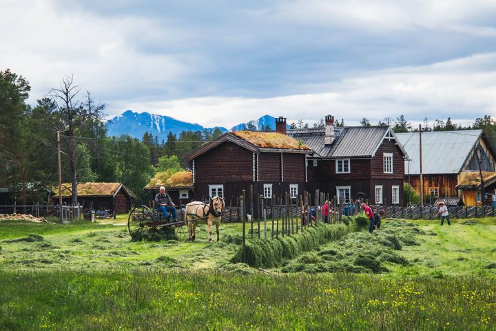 IDYLLISK GÅRD: Kvebergsøya Gard ligger idyllisk til i Grimsbu i Folldal kommune, og er et av stedene i tjenesten du kan besøke. Gården har røtter tilbake til 1600-tallet og mange gamle, restaurerte bygninger og moderne fasiliteter. FOTO: NAF Lokale opplevelser