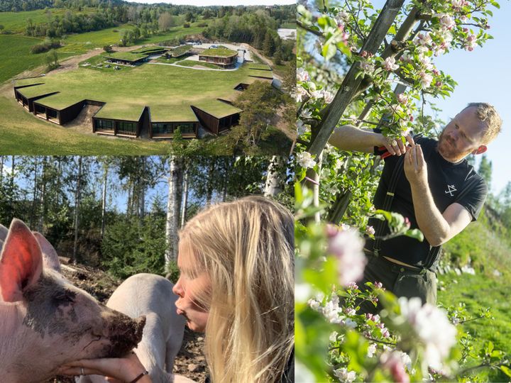 Finalistene til Bedriftsutviklingsprisen i landbruket 2021. Foto: Øyna / Vegard Breie / Nedre Skinnes