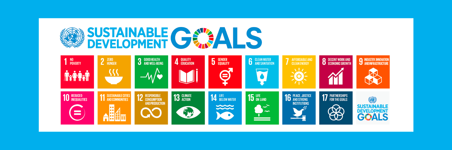 United Nations Development Programme