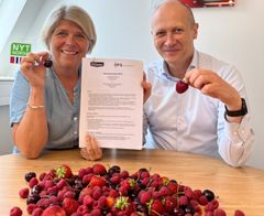 Nina Sundqvist og Guttorm Rebnes, i Stiftelsen Norsk Mat og Opplysningskontoret for Frukt og grønt, da de signerte ny samarbeidsavtale. Foto: SNM