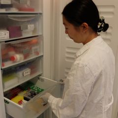 Linda Thuy Dieu Ngo og de andre IGEM-studentene har sin egen skuff i fryseboksen på lab'en. Foto: Eivind Torgersen/UiO