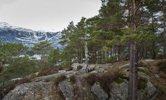 Hesthamar, Nasjonal turistveg Hardanger. Foto Therese Ruud