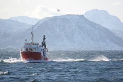 I arbeidet samles det inn informasjon om alt fra biologiske forhold langs kysten og fiskens vandringer til den historiske prisfastsettelsen på hvitfisk både i Norge, Danmark, Island og Storbritannia. Foto: Frank Gregersen/Nofima
