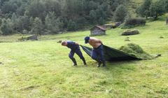 Statens naturoppsyn gjør skjøtsel i Mørkridsdalen i Luster, Vestland. Foto: SNO/Miljødirektoratet
