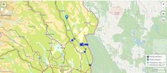Kartet viser vandringene til den merkede ulven i perioden fra 1. mars til den gikk inn i Deisjøreviret 19. mars. Kart: Miljødirektoratet.