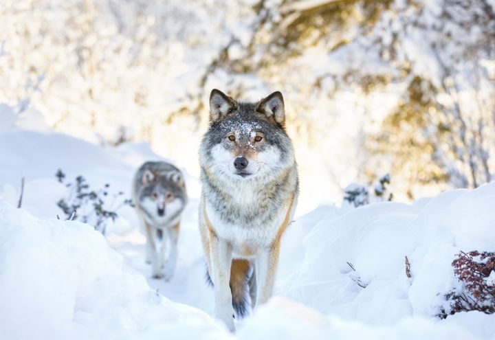 Illustrasjonsfoto. Foto: Kjetil Kolbjornsrud/Shutterstock