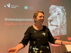Vigdis Harsvik, direktør i Innovasjon Norge Trøndelag. Foto: Innovasjon Norge