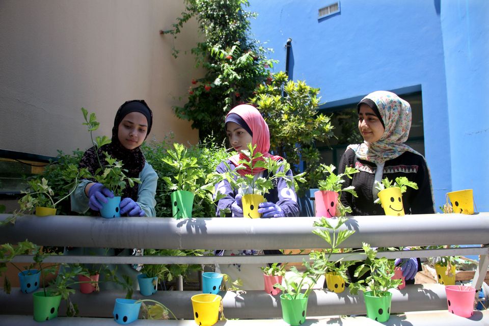 Palestinske barn i Gaza har lært hvordan de kan gi brukte plastflasker og bokser et nytt liv som potter for små planter. Bare halvparten av verdens skolebarn får lære om miljø og klima på skolen. Foto NTB/Xinhua Rizek Abdeljawad