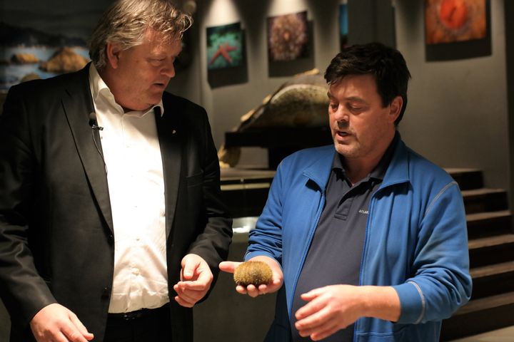Daglig leder Tor Erik Standal i Atlanterhavsparken viser frem en kråkebolle til fiskeri- og sjømatminister Harald T. Nesvik.