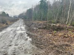 Denne vegen langs jernbanen mellom Ås og Hauger bru i Ås kommune skal bygges om til gang- og sykkelveg. De forberedende arbeidene er startet. (Foto: Marius Bjerke / Statens vegvesen)