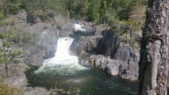 NVE anbefalar fisketrapp i Helvetesfossen i Tokkeåi. Foto:NVE