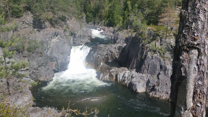 NVE anbefalar fisketrapp i Helvetesfossen i Tokkeåi. Foto:NVE