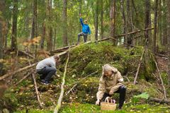 TRAKTKANTARELL: Kommer som regel sent i sesongen, og kan godt vokse langt ut i november om den unngår frost. Foto: Paulina Cervenka