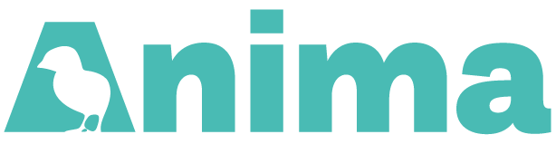 Anima logo