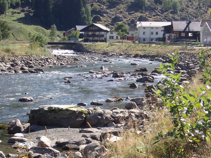 Miljøtilpasset erosjonssikring med spirende kantvegetasjon i Flåmselva. Foto: Ulrich Pulg