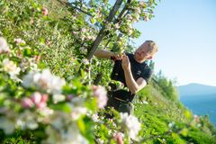 Foto: Vegard Breie.