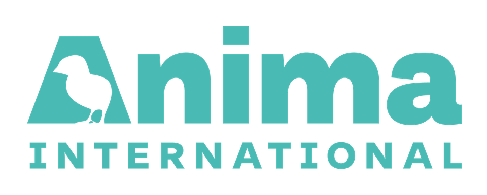 Anima International logo