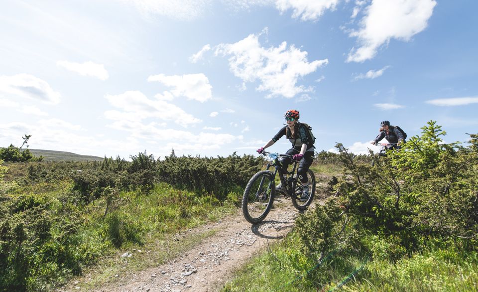 HafjellBikePark