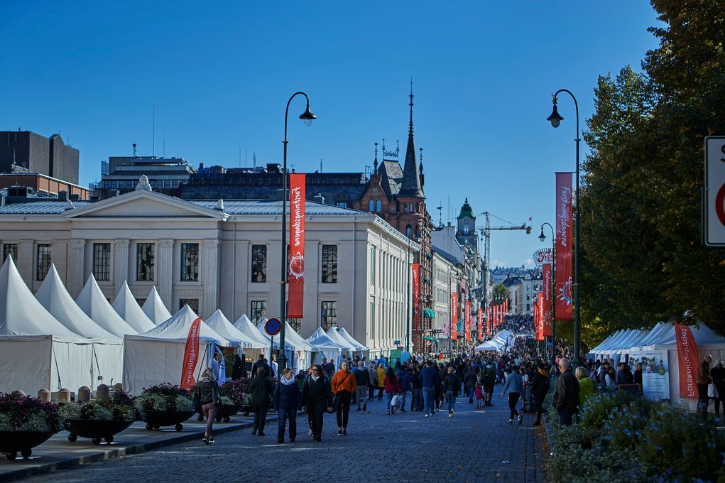 I fjor besøkte 70 000 barn, unge og voksne de ulike arrangementene, som samlet universiteter, høyskoler, institutter, museer, bibliotek og næringshager fra alle landsdeler. (Foto: Bård Gudim)