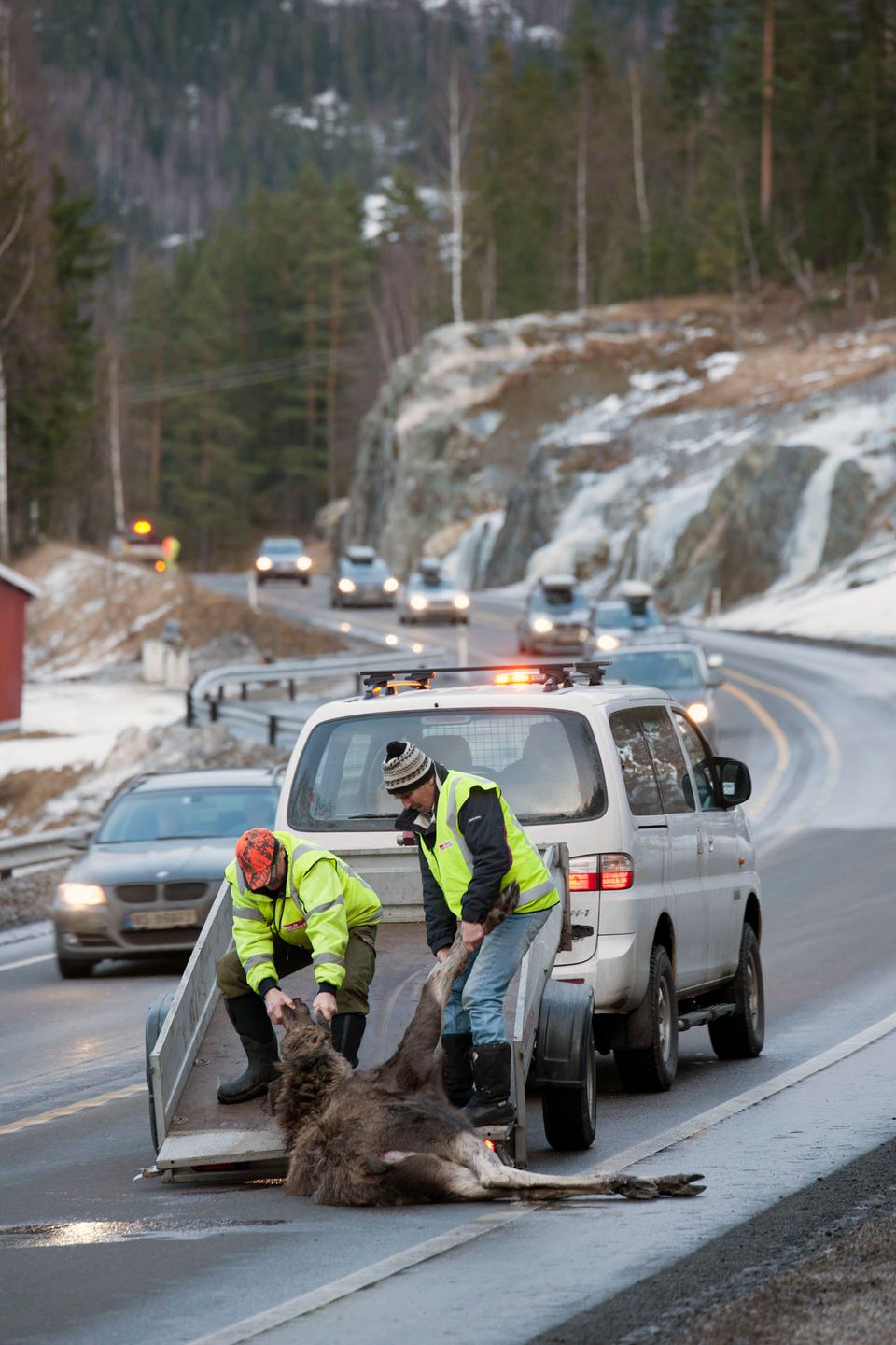 Trygg Trafikk, Norges Lastebileier-Forbund (NLF) Og Vilt Og Trafikk ...