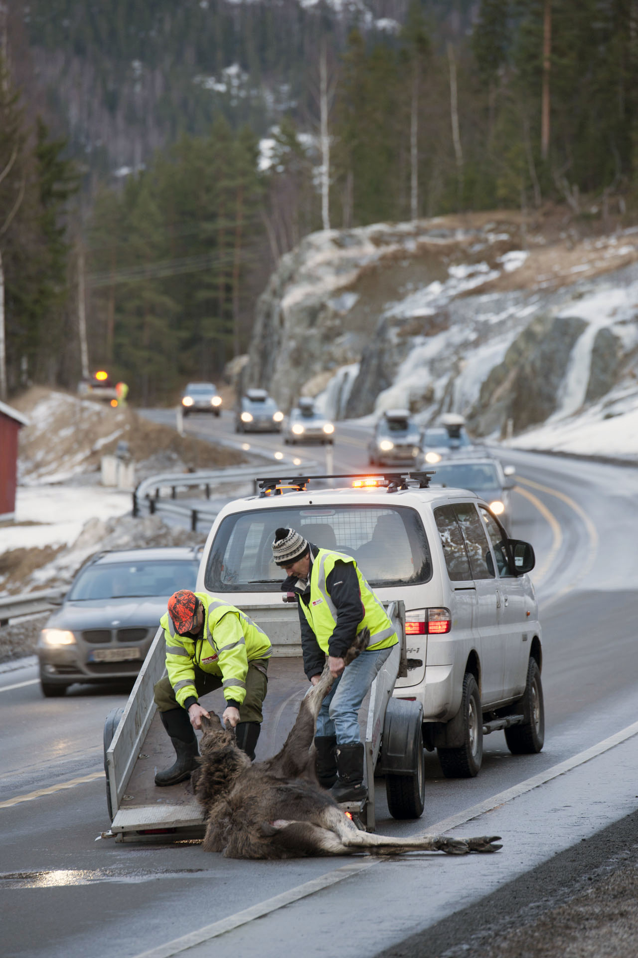 Trygg Trafikk, Norges Lastebileier-Forbund (NLF) Og Vilt Og Trafikk ...