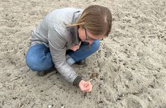 What does it mean to us when plastic and nature are linked? At the NGI lab, the chemical composition of the plastic pellets that Elizabeth Ellenwood found at Huk beach in Oslo have been examined. Photo: NGI