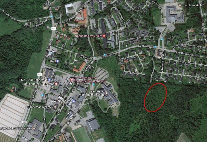 Tomten er markert i rødt. Foto: Google Maps