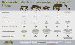 Bestandsstatus for de store rovdyrene i Norge.