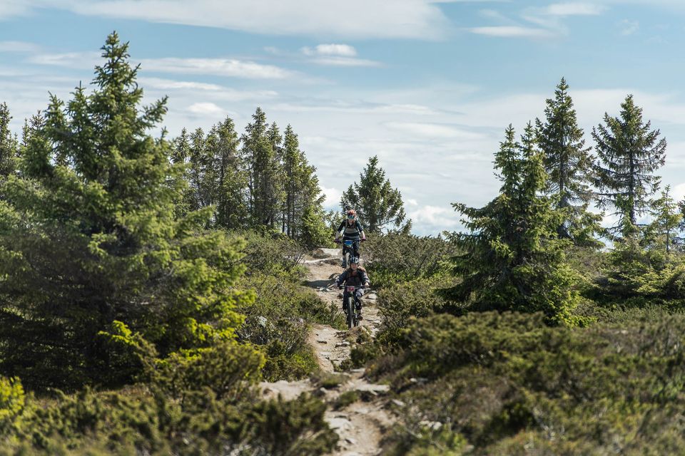 sykkelsommer_web-2