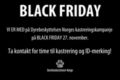 Dyrebeskyttelsen Norges kampanjebilde for Black Friday. Grafikk: Dyrebeskyttelsen Norge.