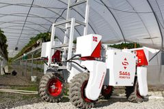 Landbruksroboten Thorvald under testkjøring i jorbæærdyrking. Foto: Pål From