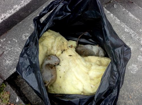 Rotteskadene varierer fra mindre utbedringer til totalrenoveringer på over millionen. Foto: Frende