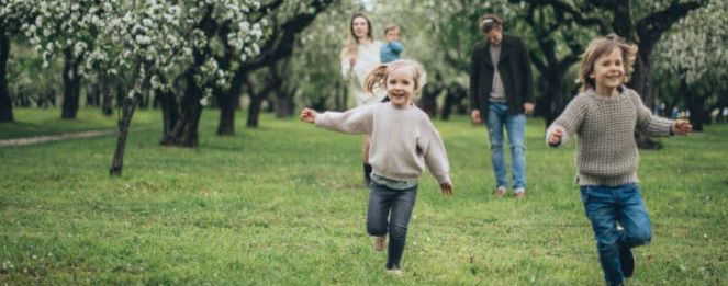 Norsk Fosterhjemsforening