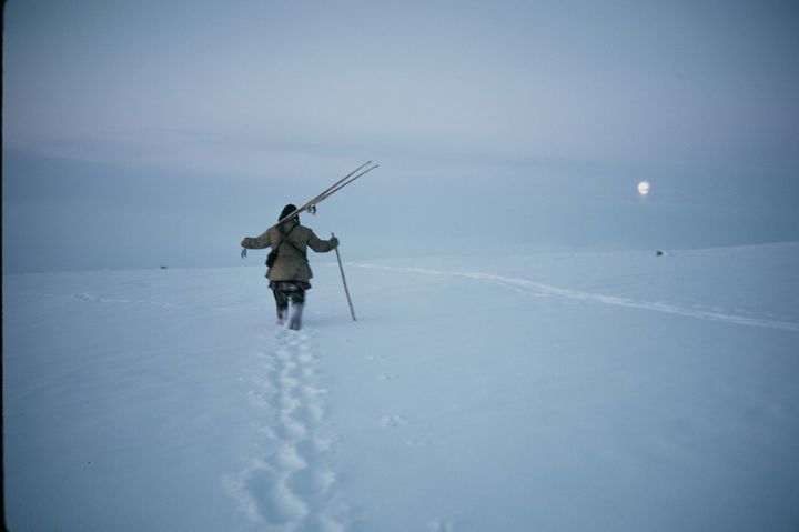 Guođoheaddji sabehiiguin /Reingjeter med ski. Foto: Erik Borg. Arkivreferanse: Arkivverket/Samisk arkiv/Erik Borgs foto.