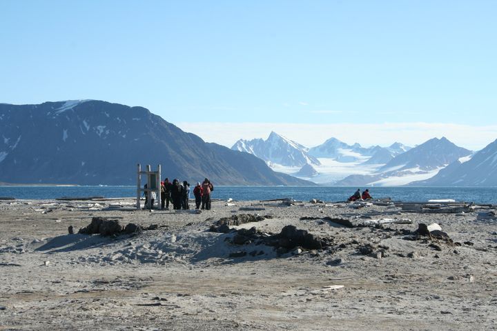 Smeerenburg i Nordvest-Spitsbergen nasjonalpark er et av stedene hvor Miljødirektoratet foreslår at det fortsatt skal være tillatt med ilandstigning i turistvirksomhet.
Foto: Hege Langeland, Miljødirektoratet